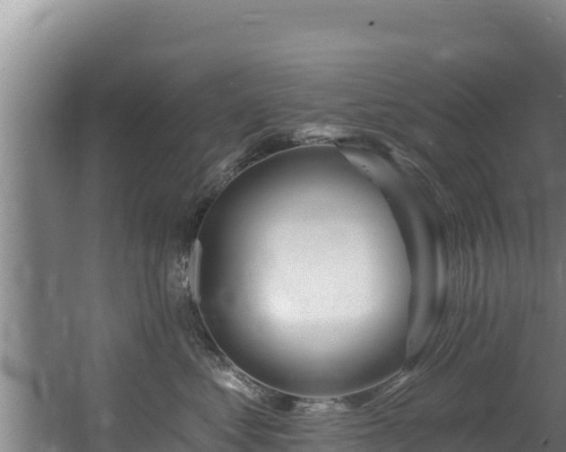 X0000060580621200511071047