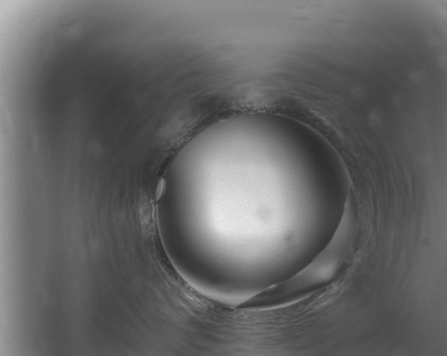 X0000060580624200511071047