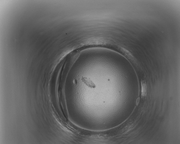 X0000060580627200511071046