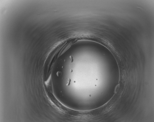 X0000060580629200511071046