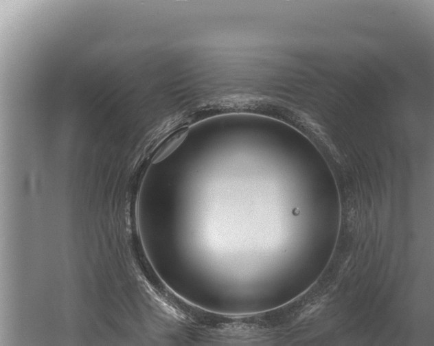 X0000060580633200511071046