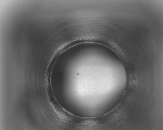 X0000060580636200511071046