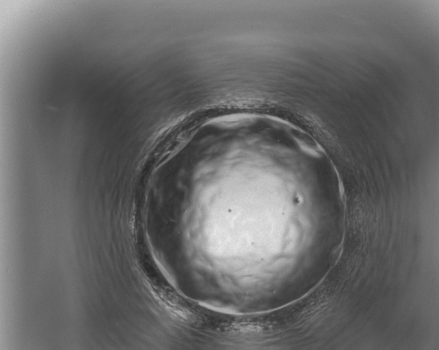 X0000060580640200511071046