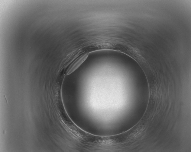 X0000060580645200511071046