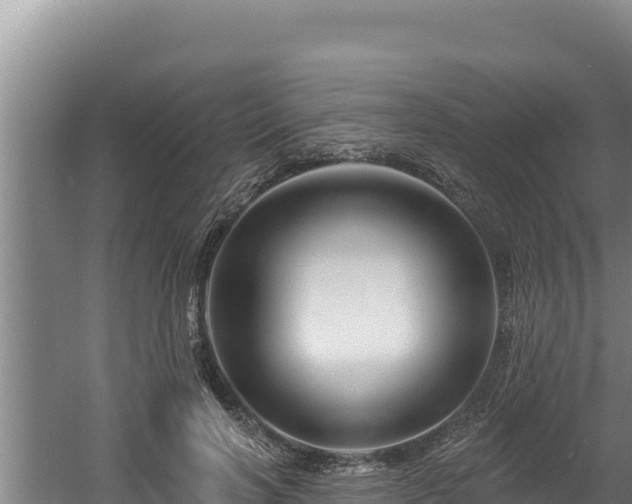 X0000060580646200511071046