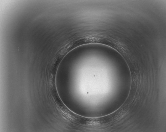 X0000060580649200511071046