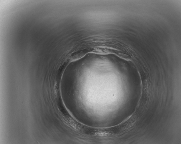 X0000060580650200511071046