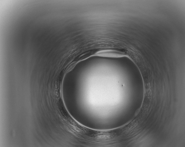 X0000060580653200511071046