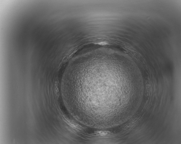 X0000060580654200511071046