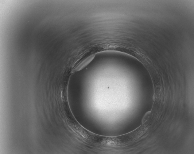 X0000060580655200511071046