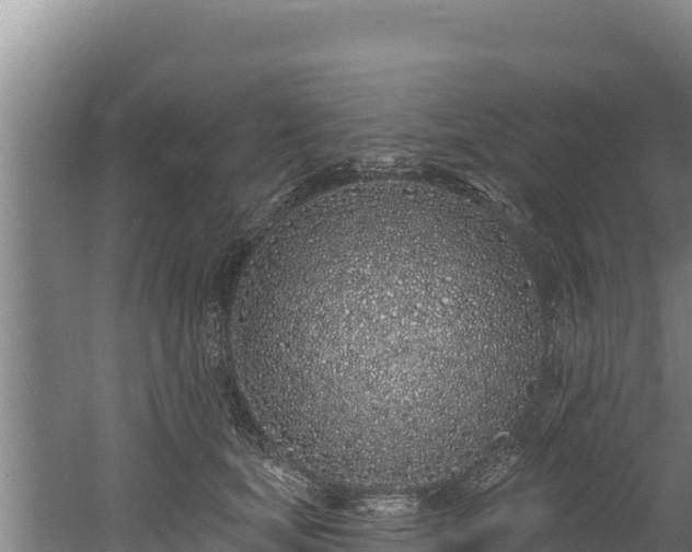 X0000060580659200511071046