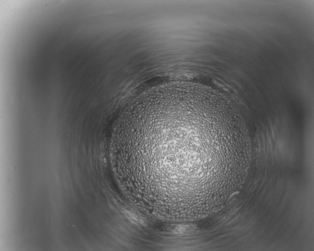 X0000060580663200511071047