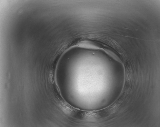 X0000060580669200511071047