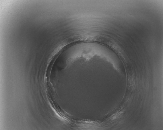 X0000060580674200511071046