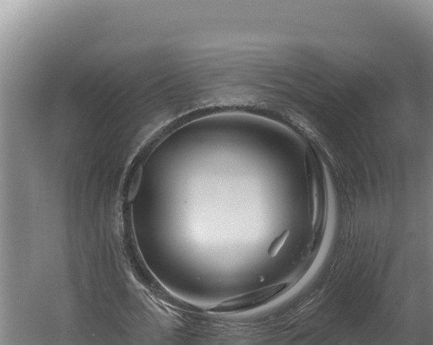 X0000060580676200511071046