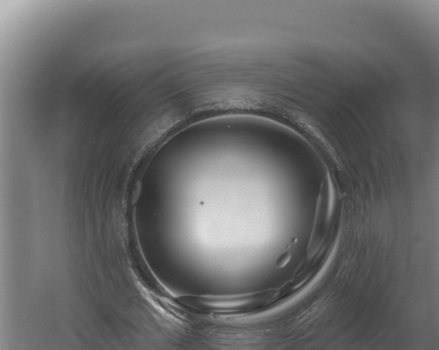 X0000060580677200511071046