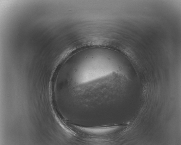 X0000060580678200511071046