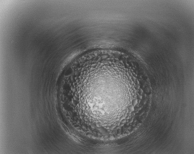 X0000060580679200511071046