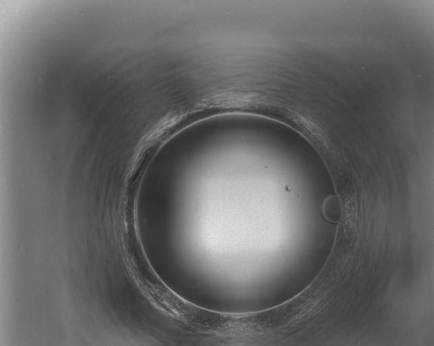 X0000060580682200511071046