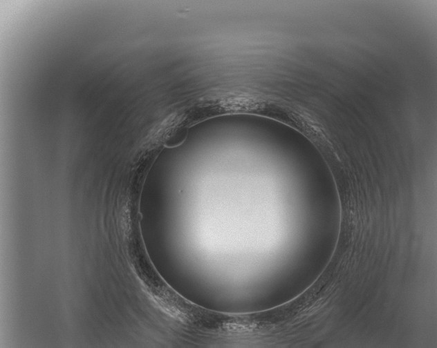 X0000060580690200511071046