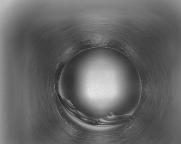 X0000060580693200511071046