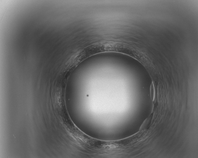 X0000060580698200511071045