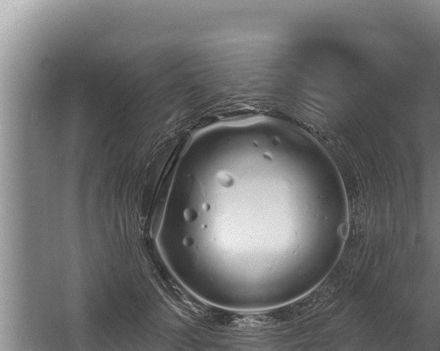 X0000060580703200511071045