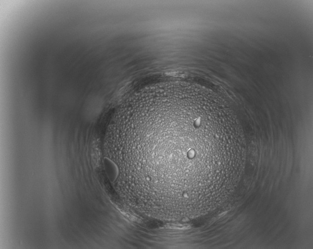 X0000060580707200511071045