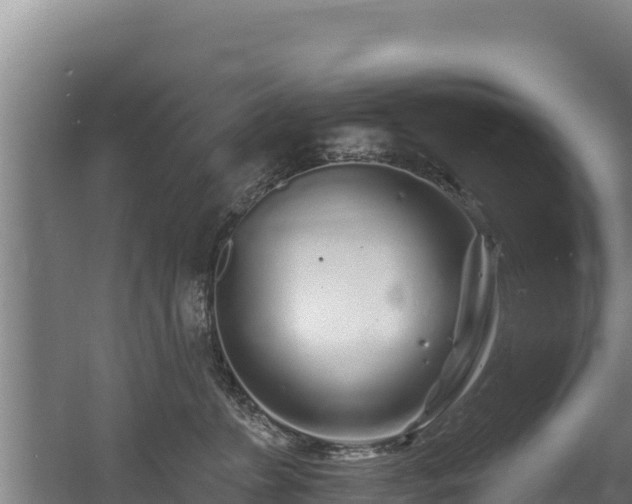 X0000060580715200511071045