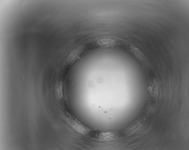 X0000060580717200511071045