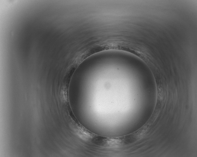 X0000060580718200511071045