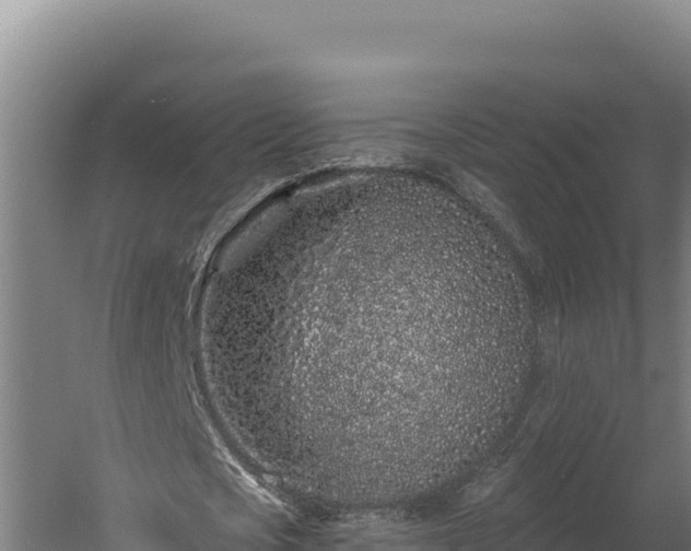 X0000060580721200511071044