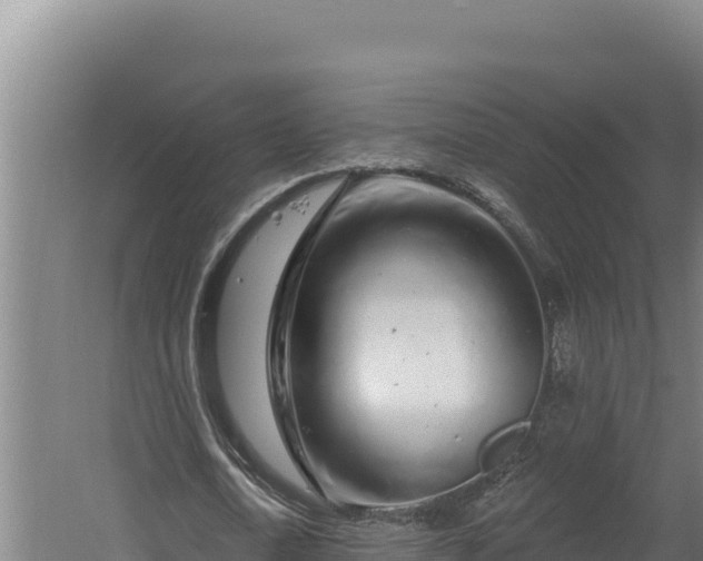 X0000060580722200511071044