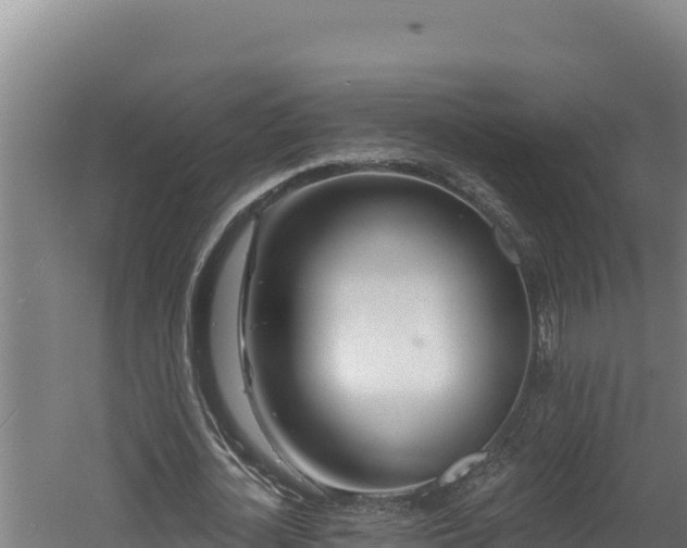 X0000060580724200511071044