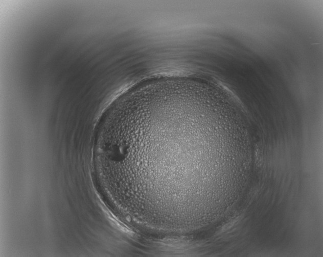 X0000060580725200511071044