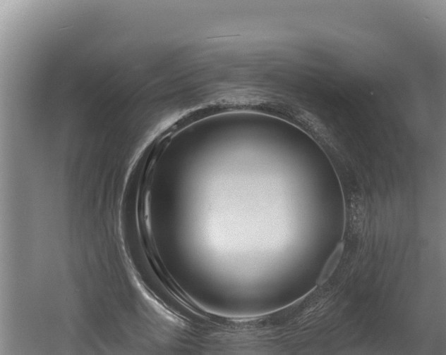 X0000060580726200511071044