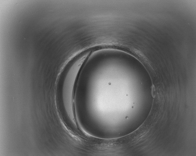 X0000060580728200511071044