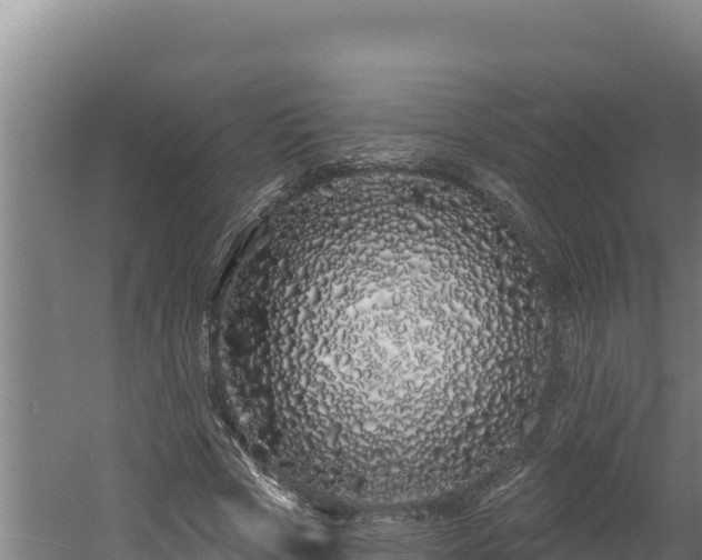 X0000060580729200511071044