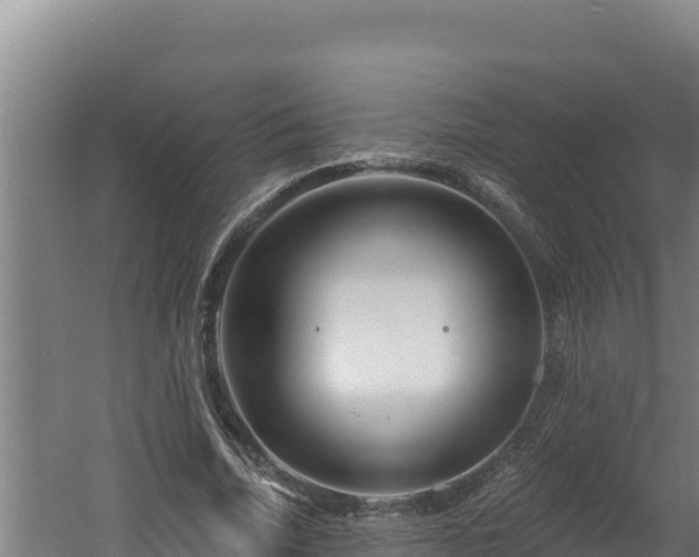 X0000060580730200511071044