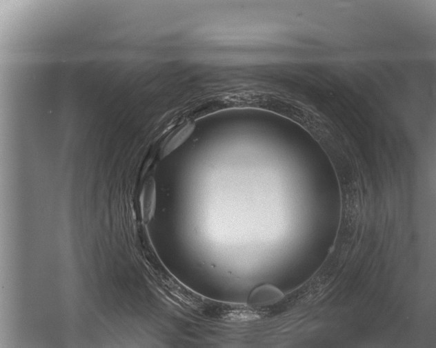 X0000060580749200511071045