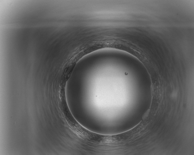 X0000060580750200511071045