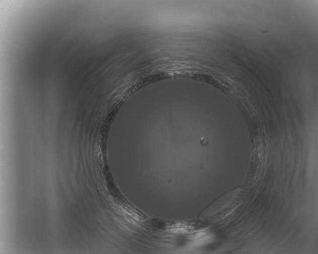 X0000060580754200511071045