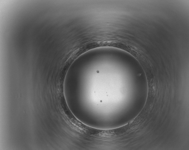 X0000060580756200511071045