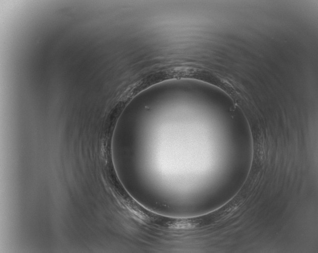 X0000060580759200511071045