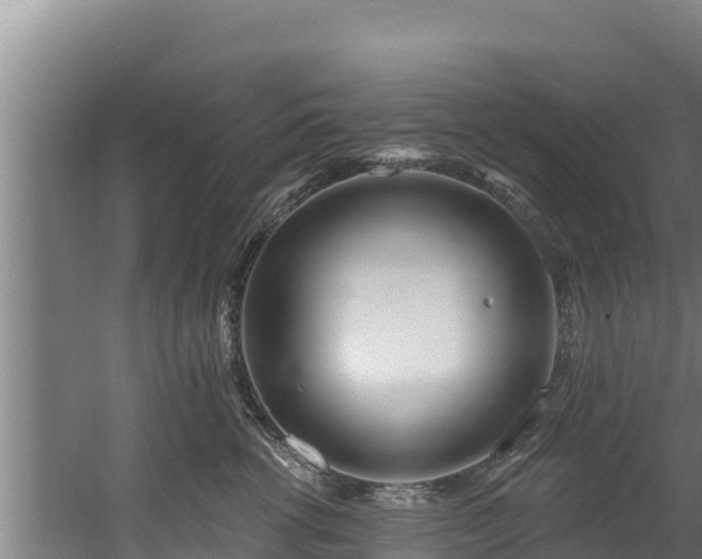 X0000060580762200511071045