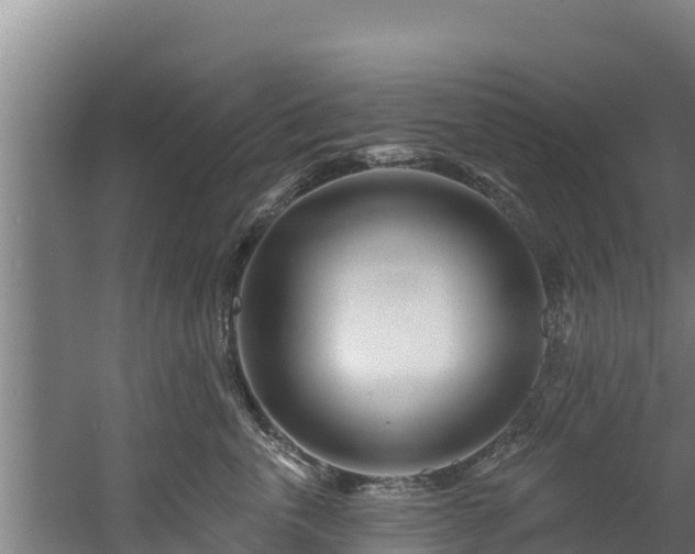 X0000060580763200511071045