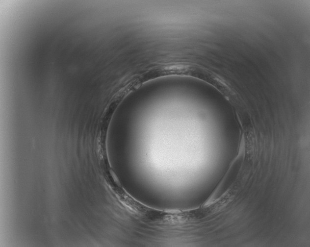 X0000060580764200511071045