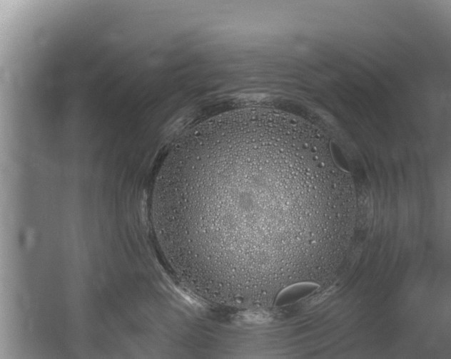 X0000060580765200511071045