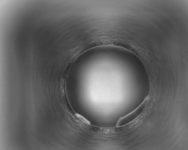 X0000060580768200511071045