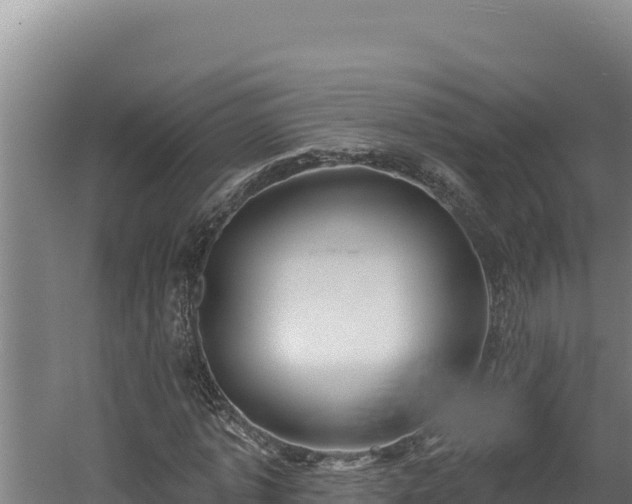 X0000060580773200511071044